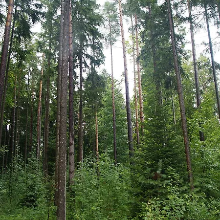 Dekra Congresshotel Wart Hotel Altensteig