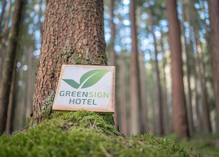 Dekra Congresshotel Wart 3* Altensteig