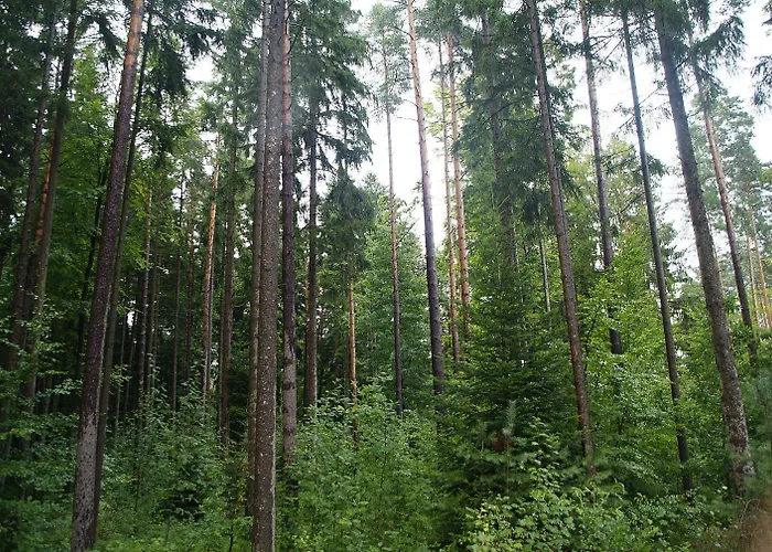 Dekra Congresshotel Wart Hotel Altensteig